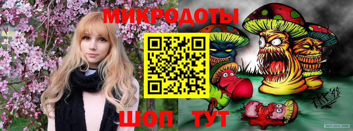 Ачхой-Мартан  Псилоцибиновые грибы мицелий  Вход с VPN 